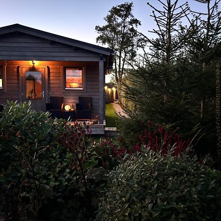 Chalet In Het Groen Met Airco Drachtstercompagnie Extérieur photo