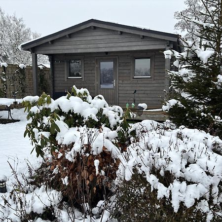 Chalet In Het Groen Met Airco Drachtstercompagnie Extérieur photo