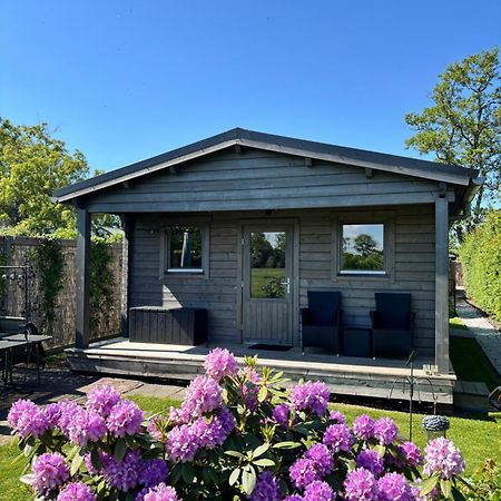 Chalet In Het Groen Met Airco Drachtstercompagnie Extérieur photo