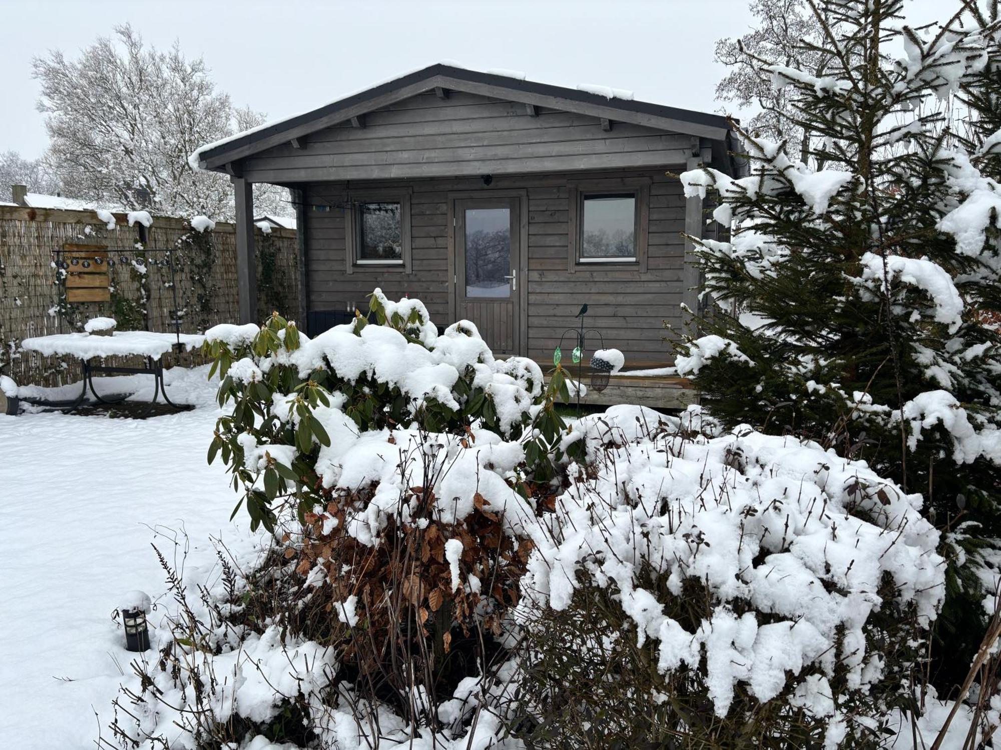 Chalet In Het Groen Met Airco Drachtstercompagnie Extérieur photo